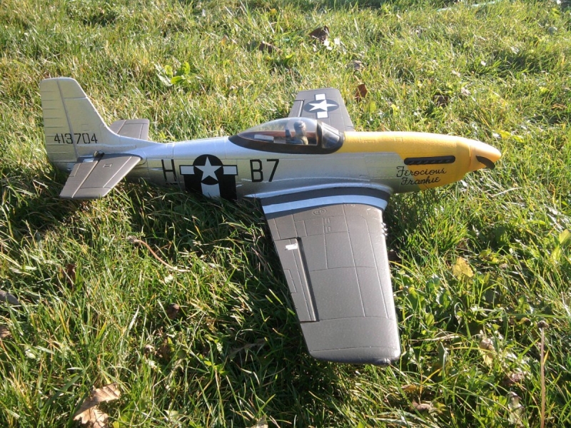 Mustang P-51