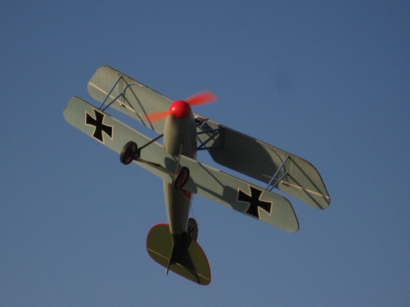 Albatros DVI