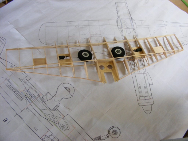 Dornier Do-335 (1:9)