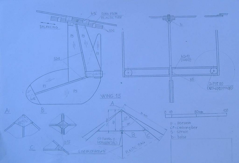 Twin motor rogallo