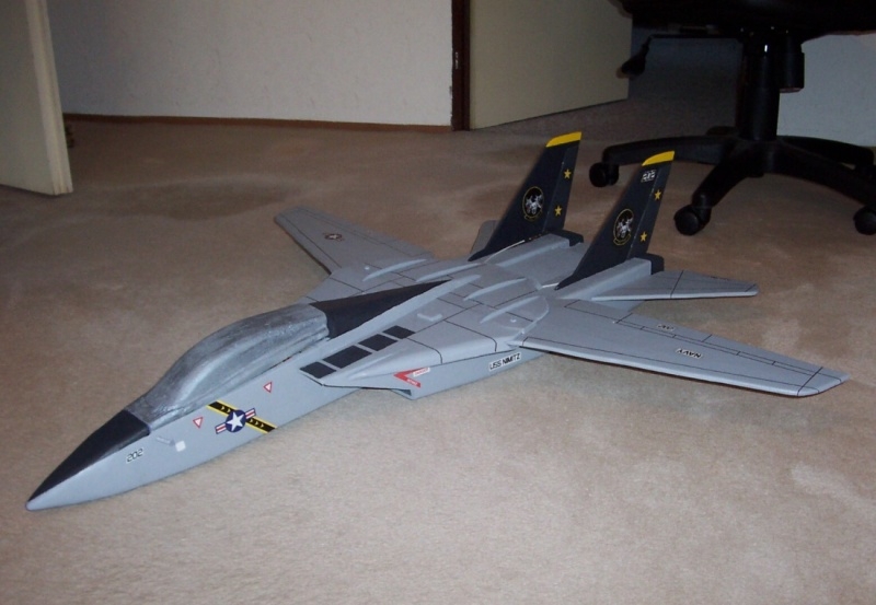  F - 14 Tomcat