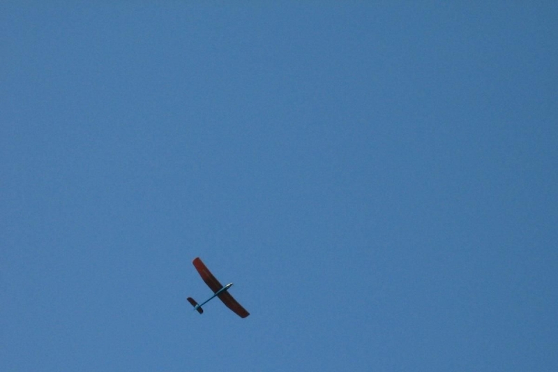 SkyLady