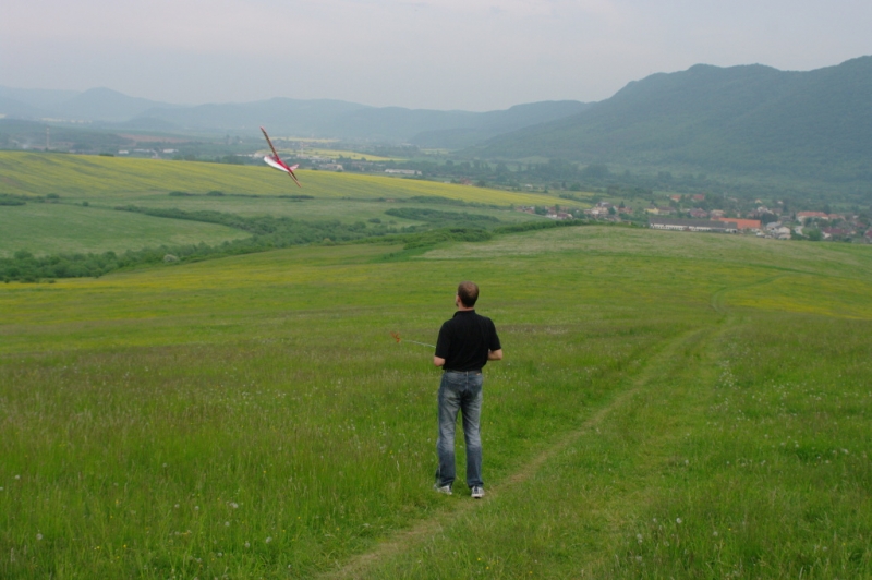 Bellanca Decathlon 480