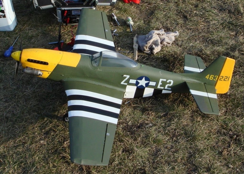 Mustag P51