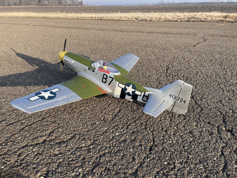 Mustang