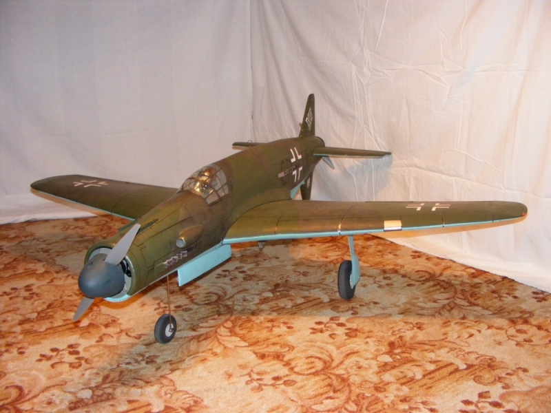 Dornier Do-335 (1:9)