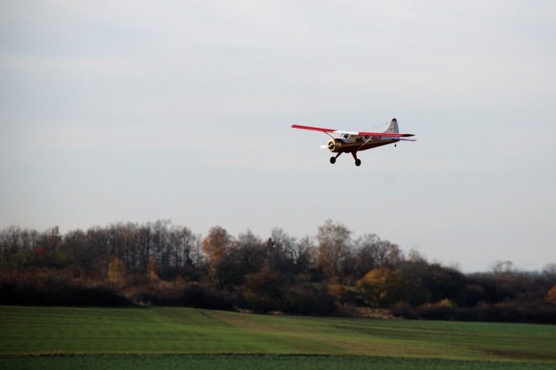 DHC-2 Beaver 25e