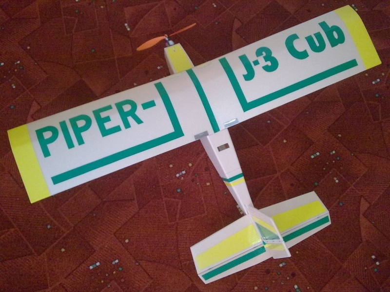 Piper