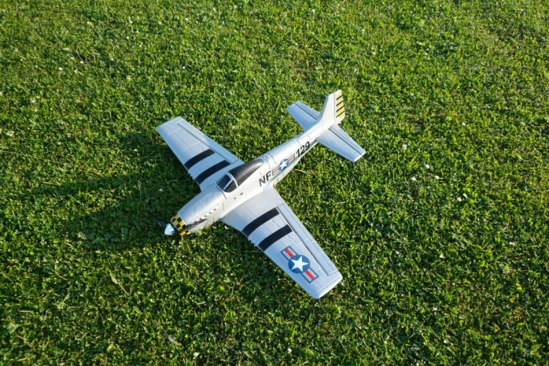 P-51D Mustang JR models EPP