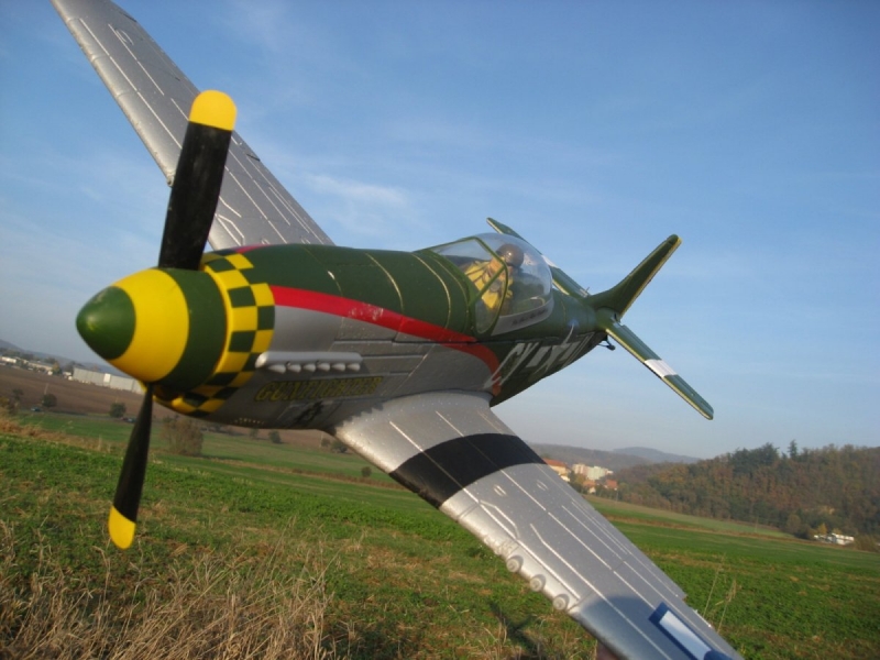 P-51D Mustang Gunfighter