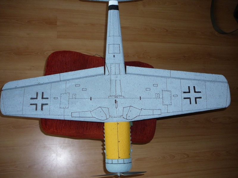 FW - 190 Dora