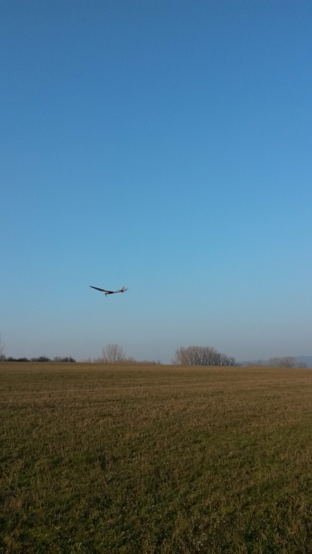Bird of Time