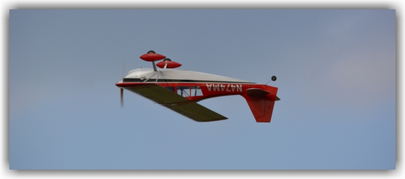 Bellanca Decathlon