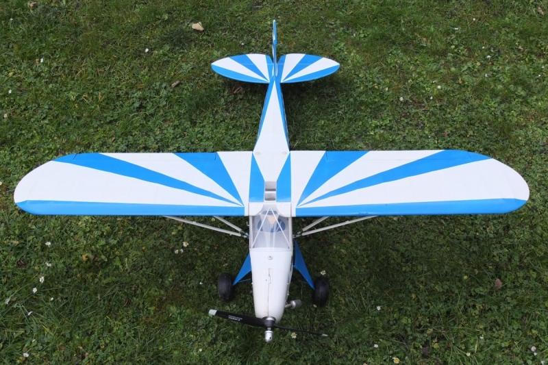 Piper 1:6 clipped wing