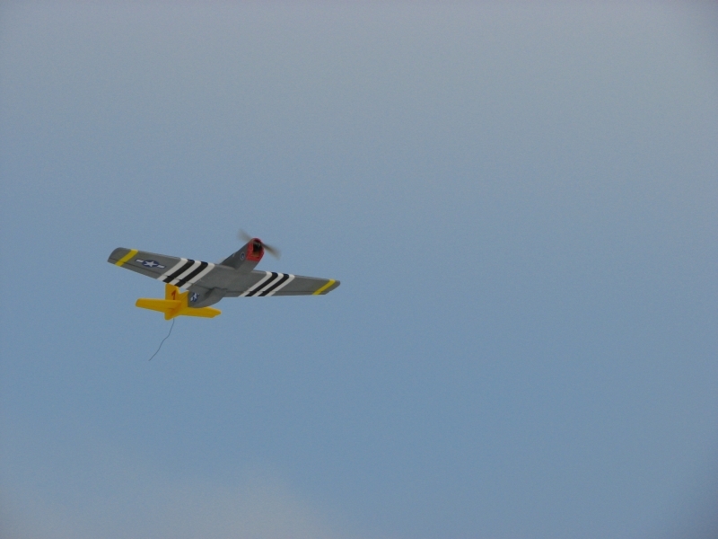 Mustang P-51