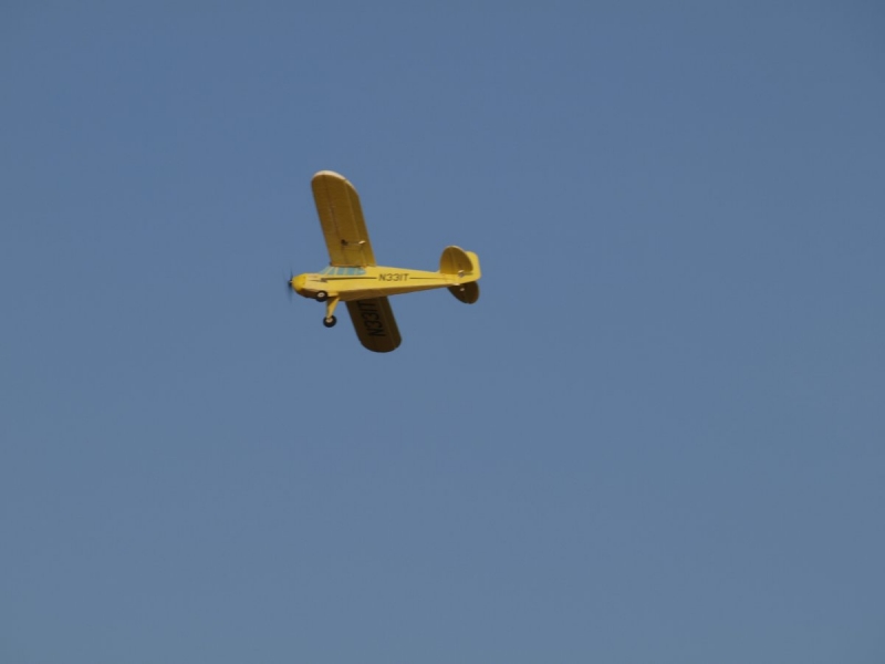 Piper Cub J-3C - PRODANO
