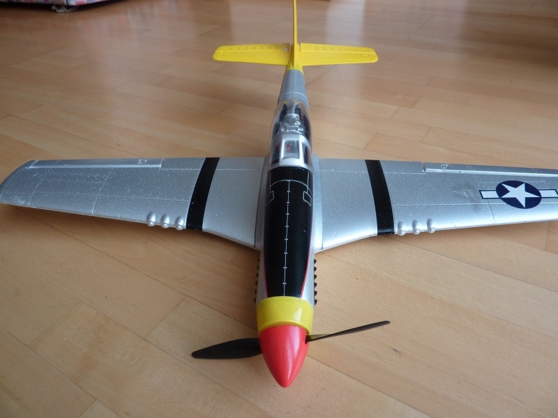 Mini P-51D Mustang