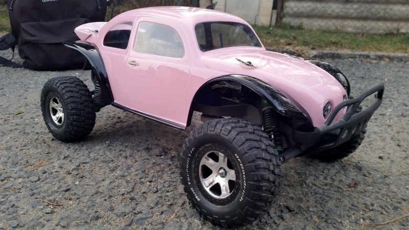 Růžokára (Slash Baja Bug)