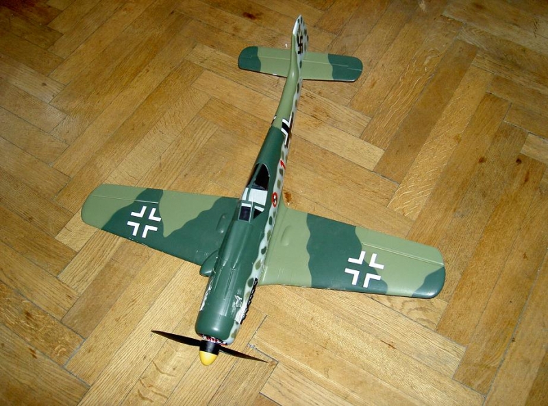 Fockewulf FW 190-D