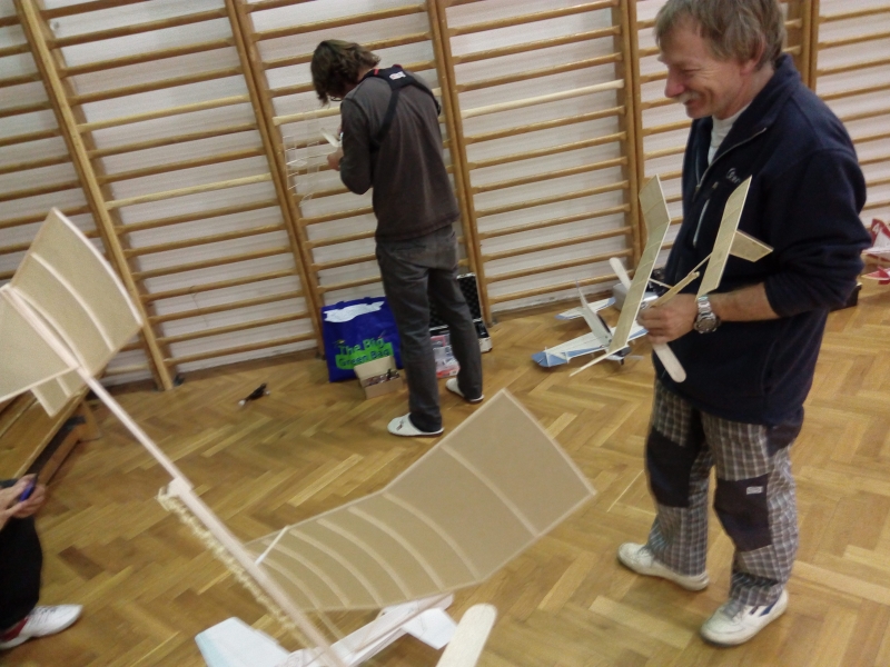 PADESÁTNÍK-halový model