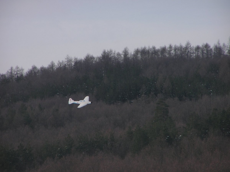 Iljušin Il-2 „Šturmovik“