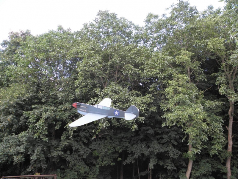 Házedlo Curtiss P-40 Warhawk