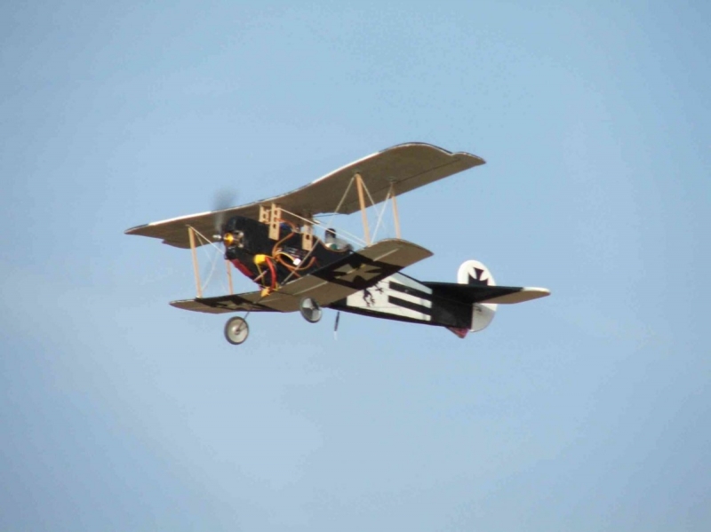 Fokker D.VI