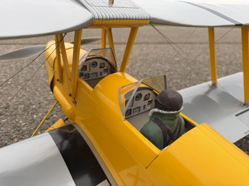 Tiger Moth