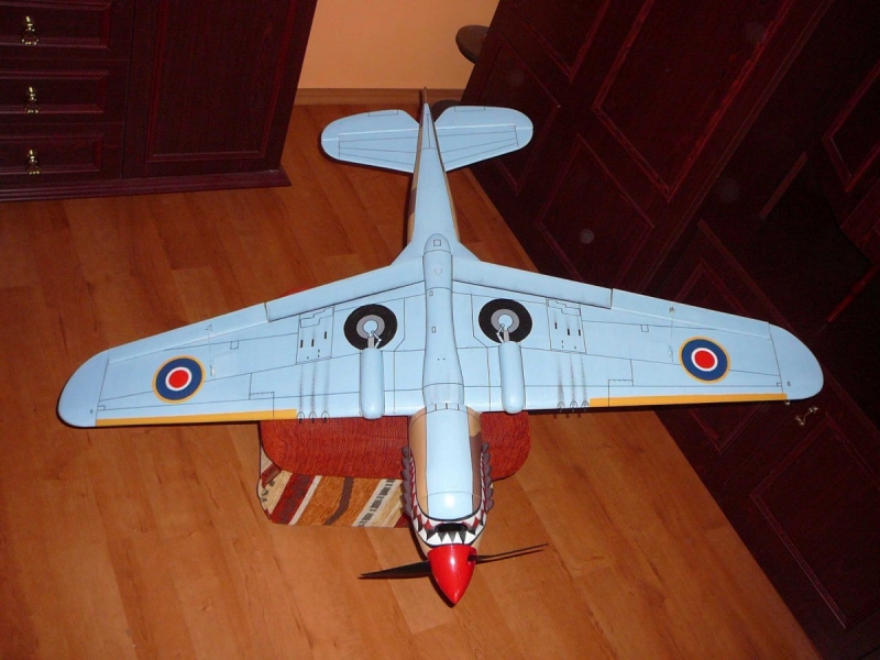 Curtis P - 40 Kittyhawk