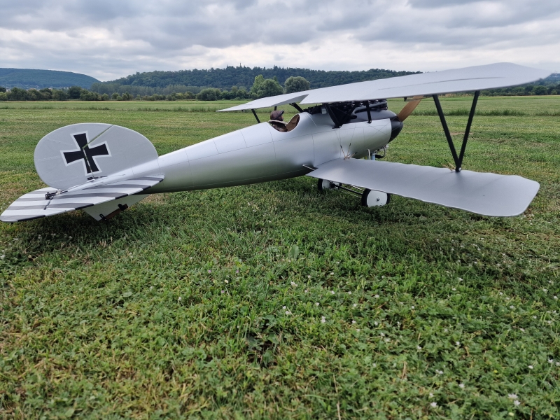 Albatros DV