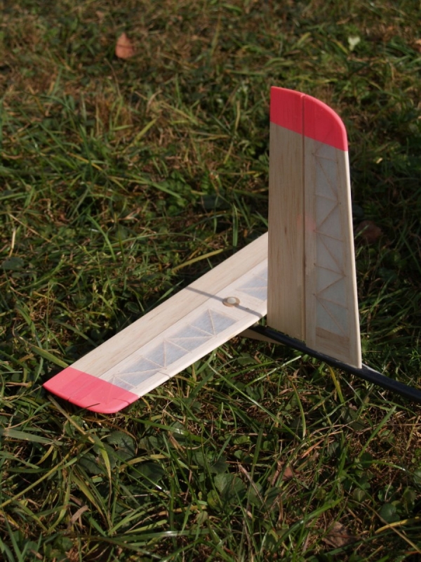 RCEK - Růžový Panter