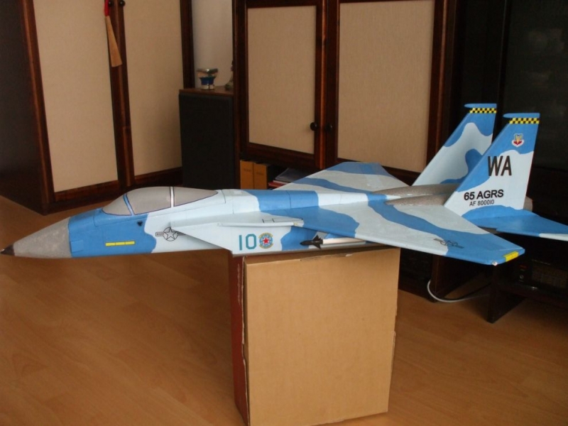 F15 AGGRESSOR
