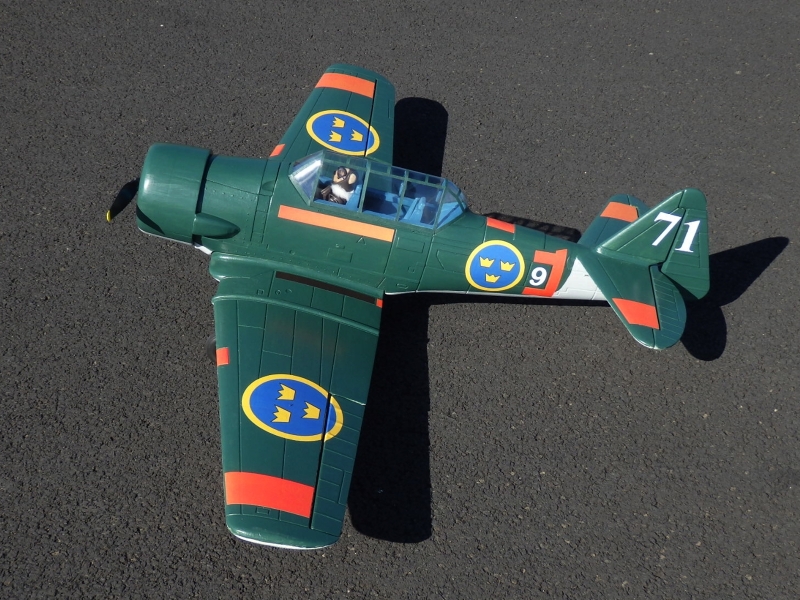 Texan 1400mm od Lanyu