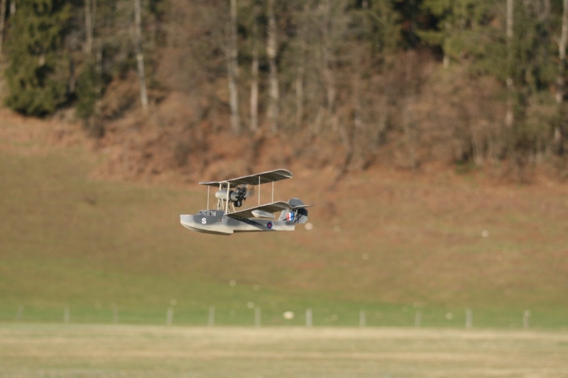 Mirco Walrus flying