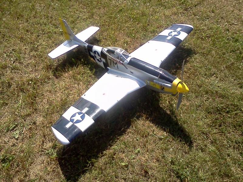 Mustang P-51D