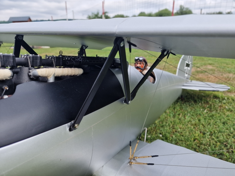 Albatros DV