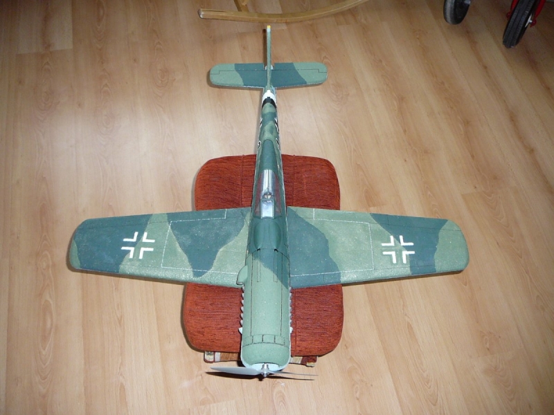 FW - 190 Dora