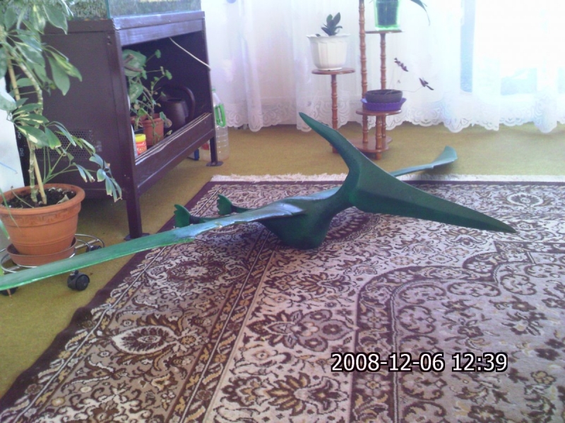 Pterodon