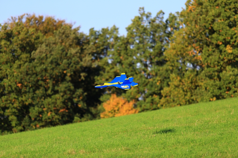 F22 Epp/Depron Parkjet rip