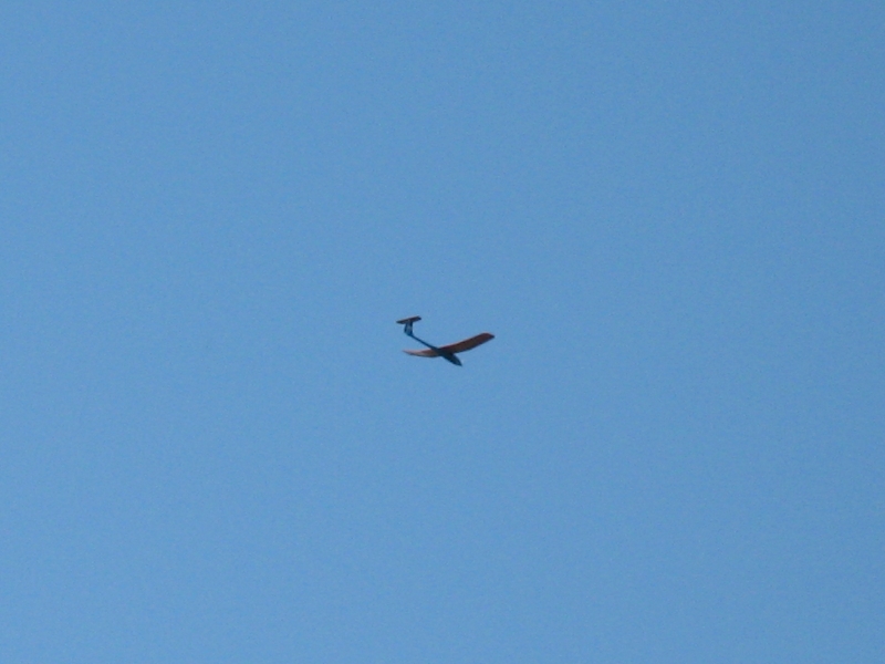 SkyLady