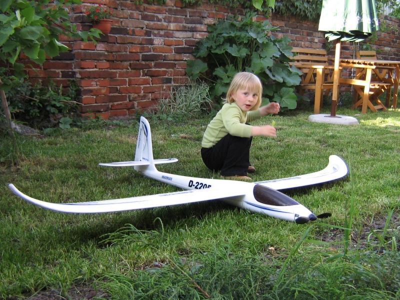 Easy Glider Electro