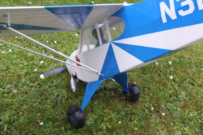 Piper 1:6 clipped wing