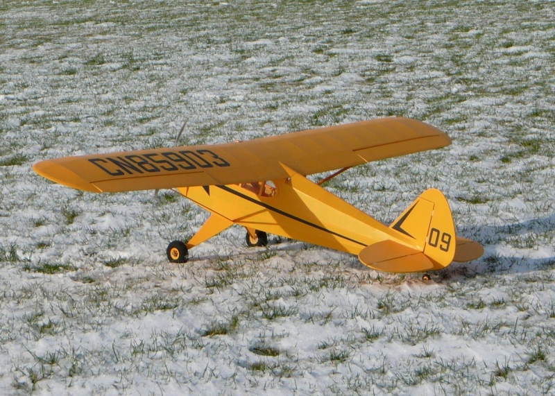 Piper Pa-18 Super cub