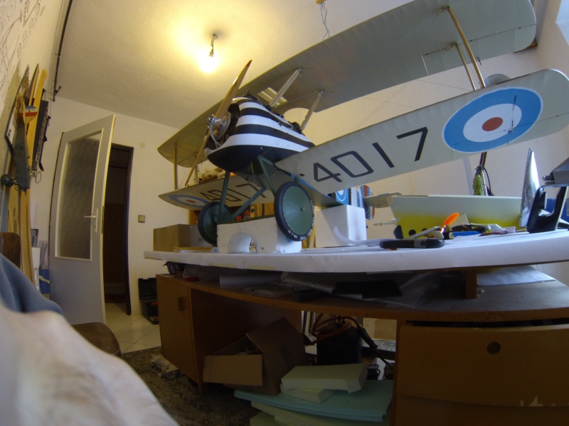 Sopwith Camel - Coombes colour scheme