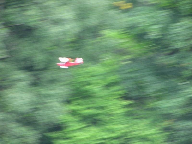 Bellanca Decathlon 480 RC  