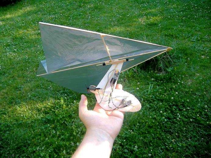 Twin motor rogallo