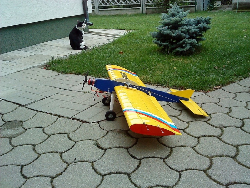 Tréner 2 - upútaný model