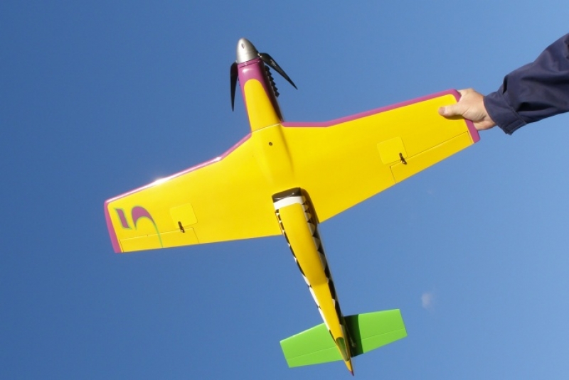 Mustang P51  Voodoo.