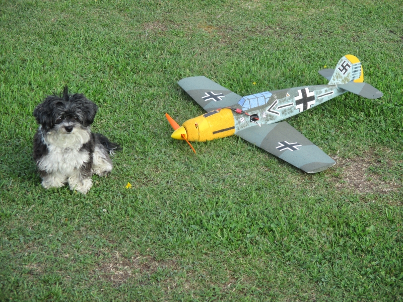 Messerschmitt Bf 109 E