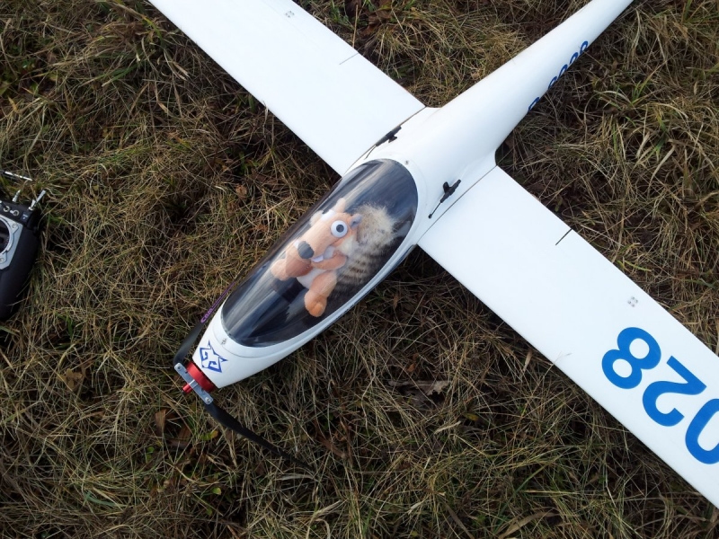 ASW 28